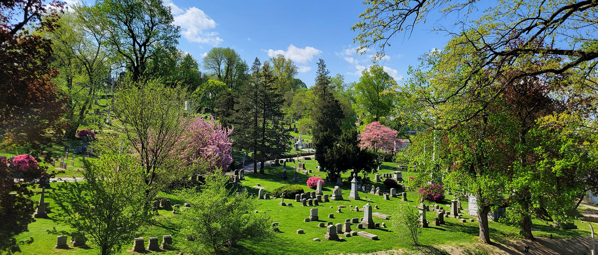 Laurel Hill Cemetery, 3822 Ridge Ave
