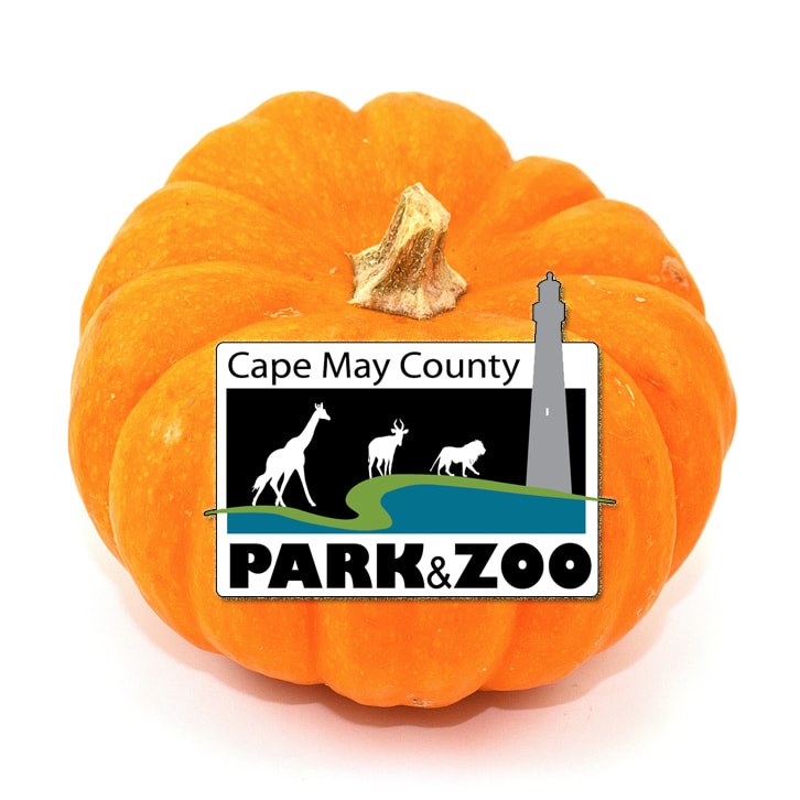 Cape May County Zoo. 707 North Route 9 (Cape May Court House, NJ)