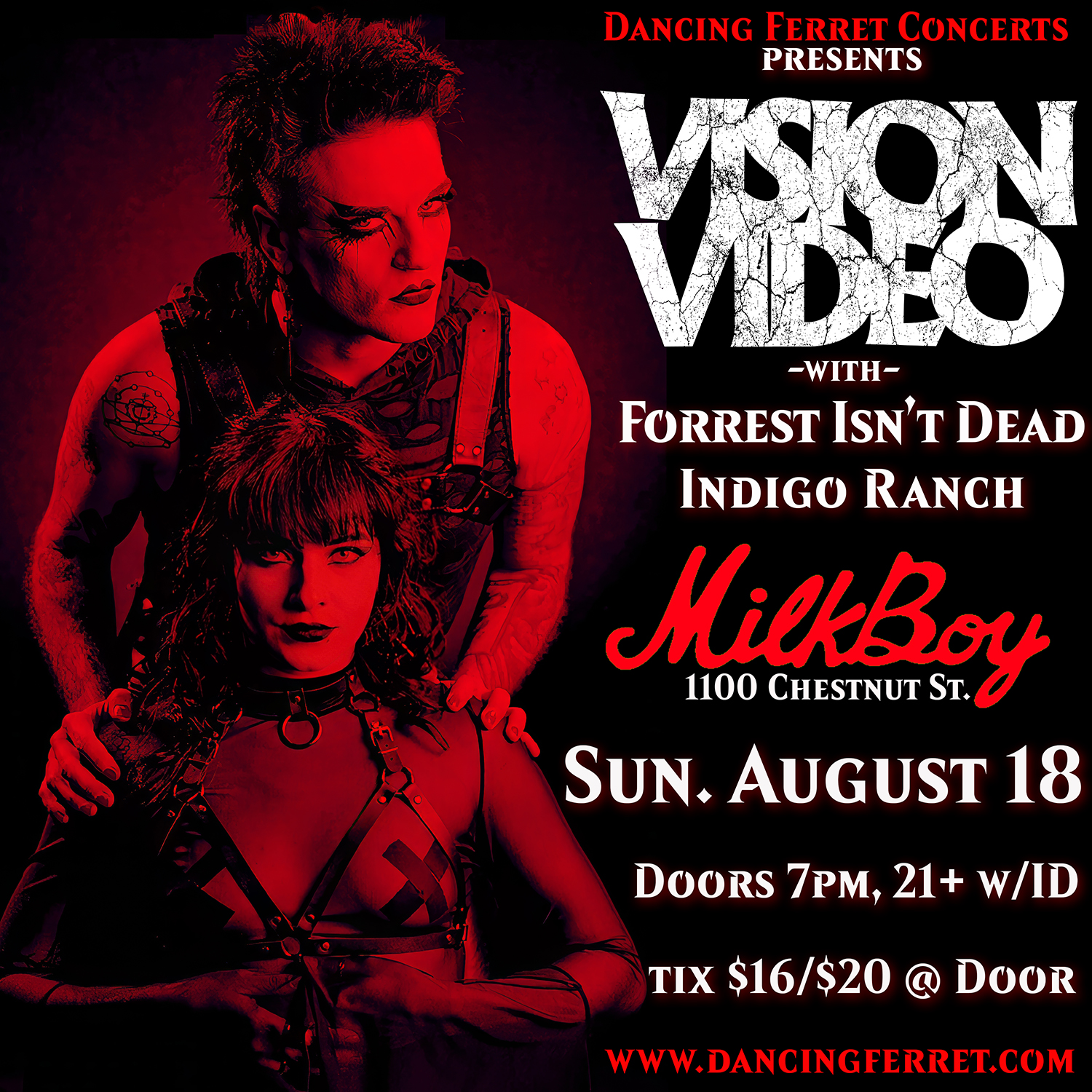 Vision Video, Forrest Isn't Dead, & Indigo Ranch